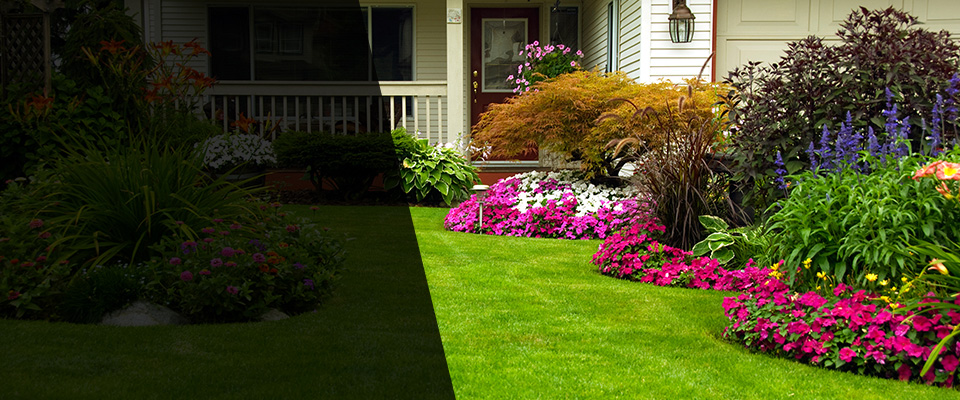 Cos Cob Landscapers