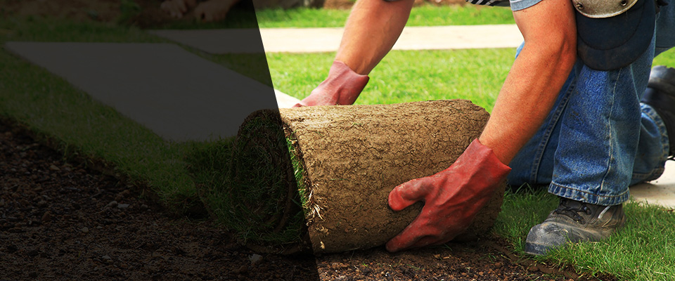 Cos Cob Landscapers